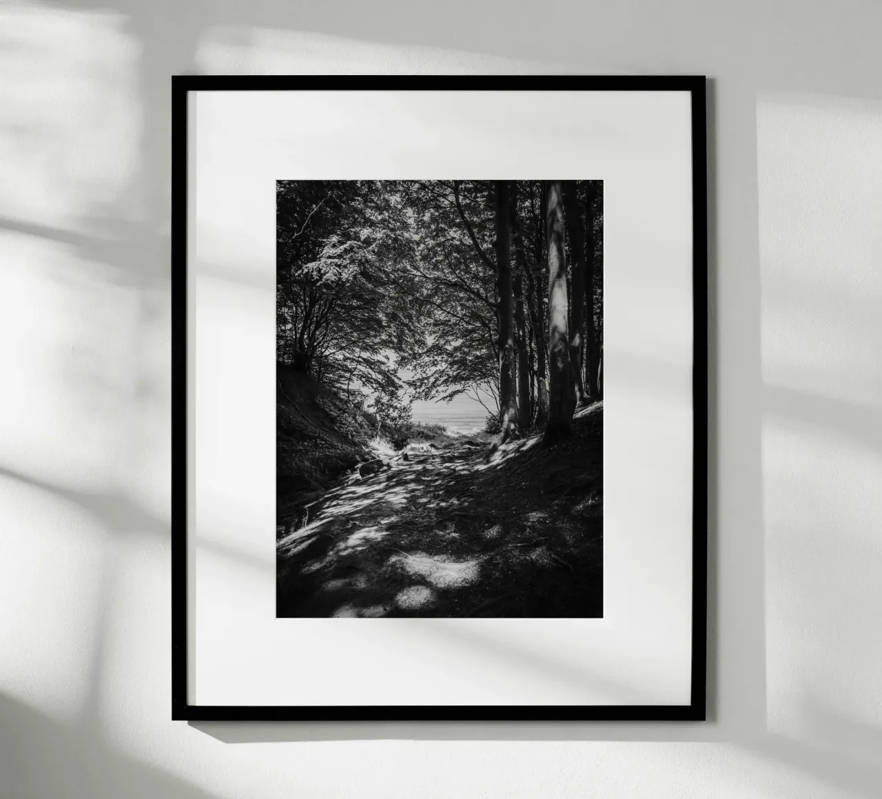 Luce di bosco in riva al mare carta hahnemühle da Janine Sommer Fotografie
