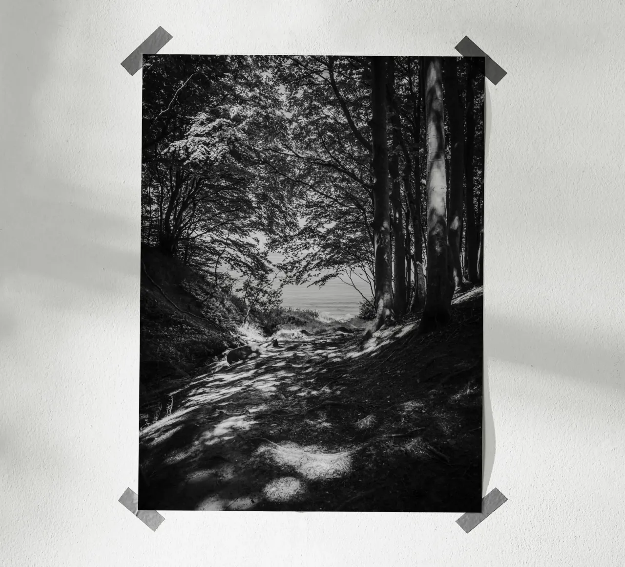 Luce di bosco in riva al mare carta hahnemühle da Janine Sommer Fotografie