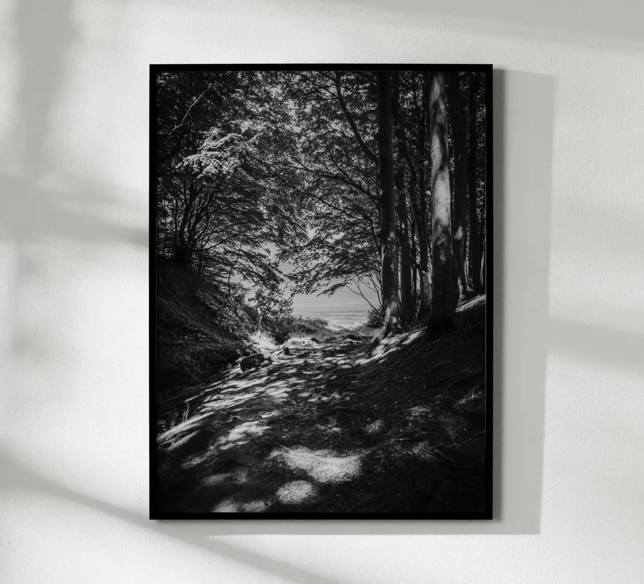 Luce di bosco in riva al mare carta hahnemühle da Janine Sommer Fotografie