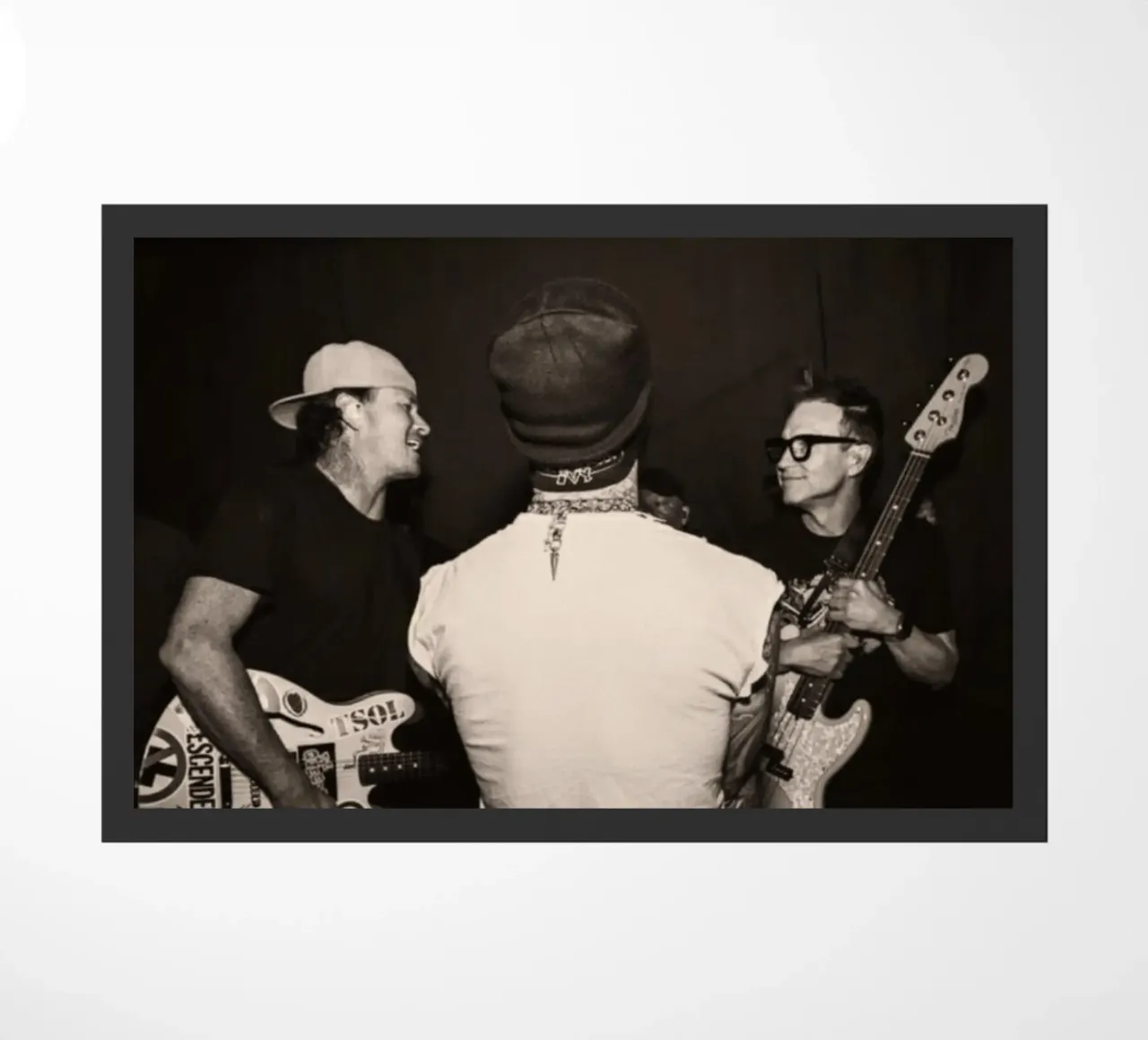 Blink 182 zerbino da Musadad Shop