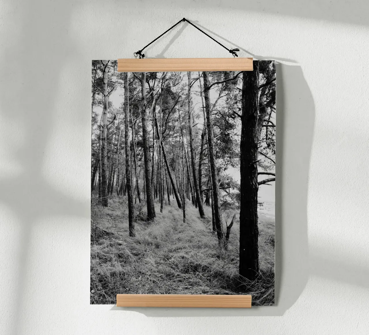 Alberi costieri carta hahnemühle da Janine Sommer Fotografie
