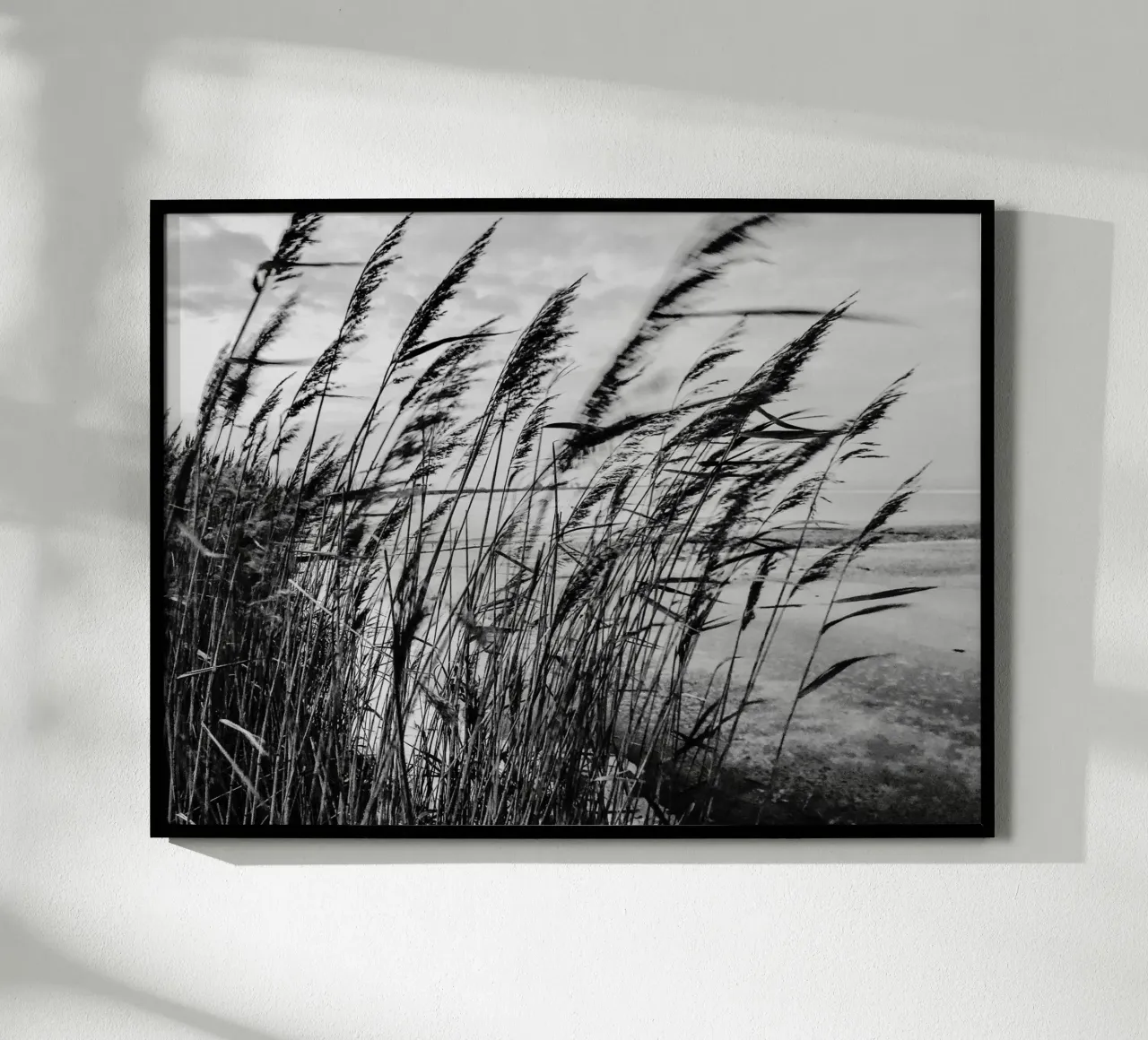 Erbe sulla spiaggia in inverno poster da Janine Sommer Fotografie