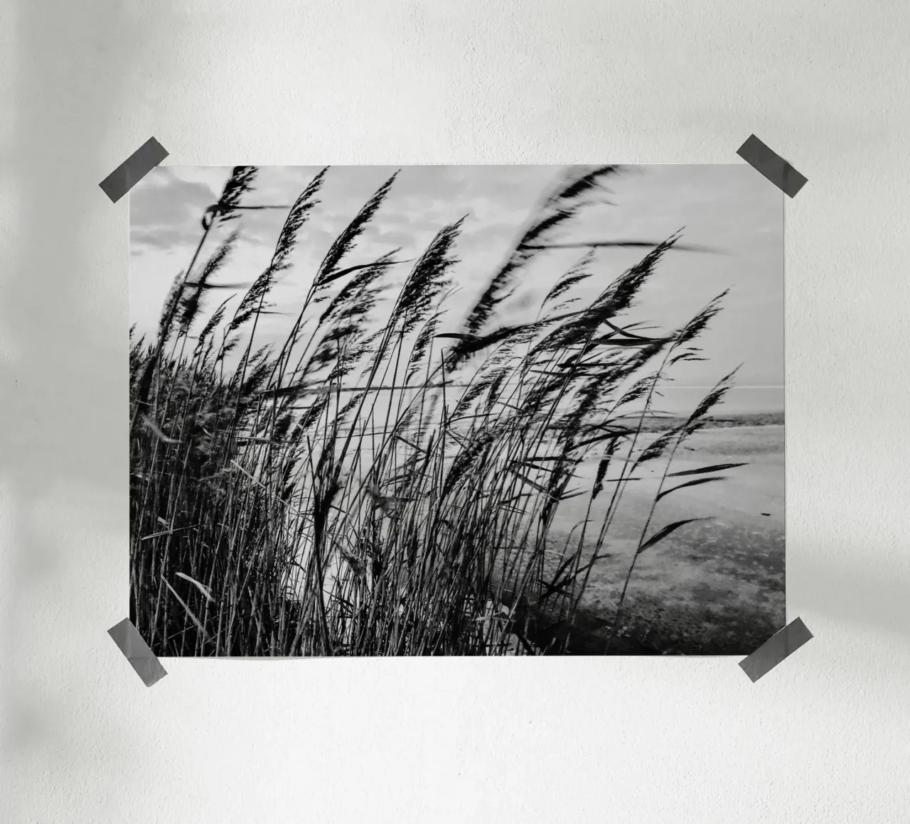 Erbe sulla spiaggia in inverno poster da Janine Sommer Fotografie