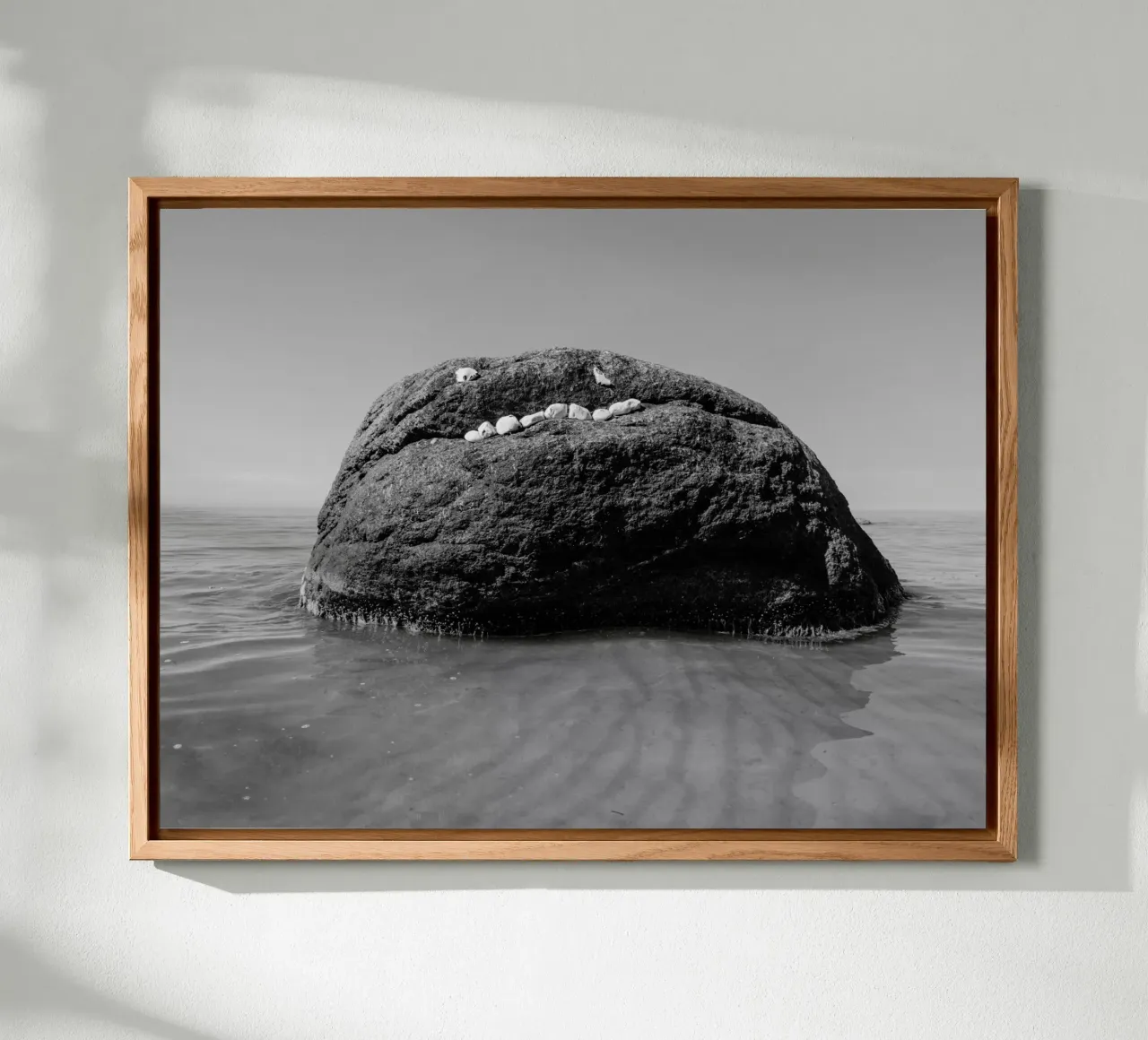The philosopher's stone forex plate by Janine Sommer Fotografie