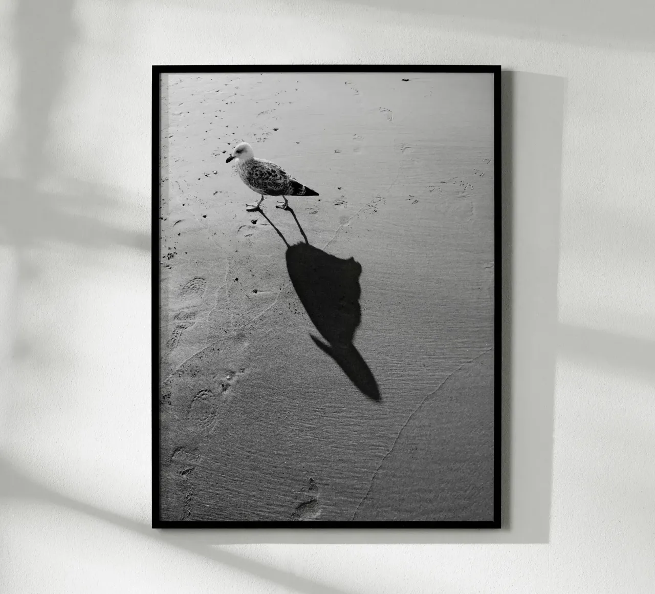 Ombra di gabbiano poster con telaio in legno da Janine Sommer Fotografie