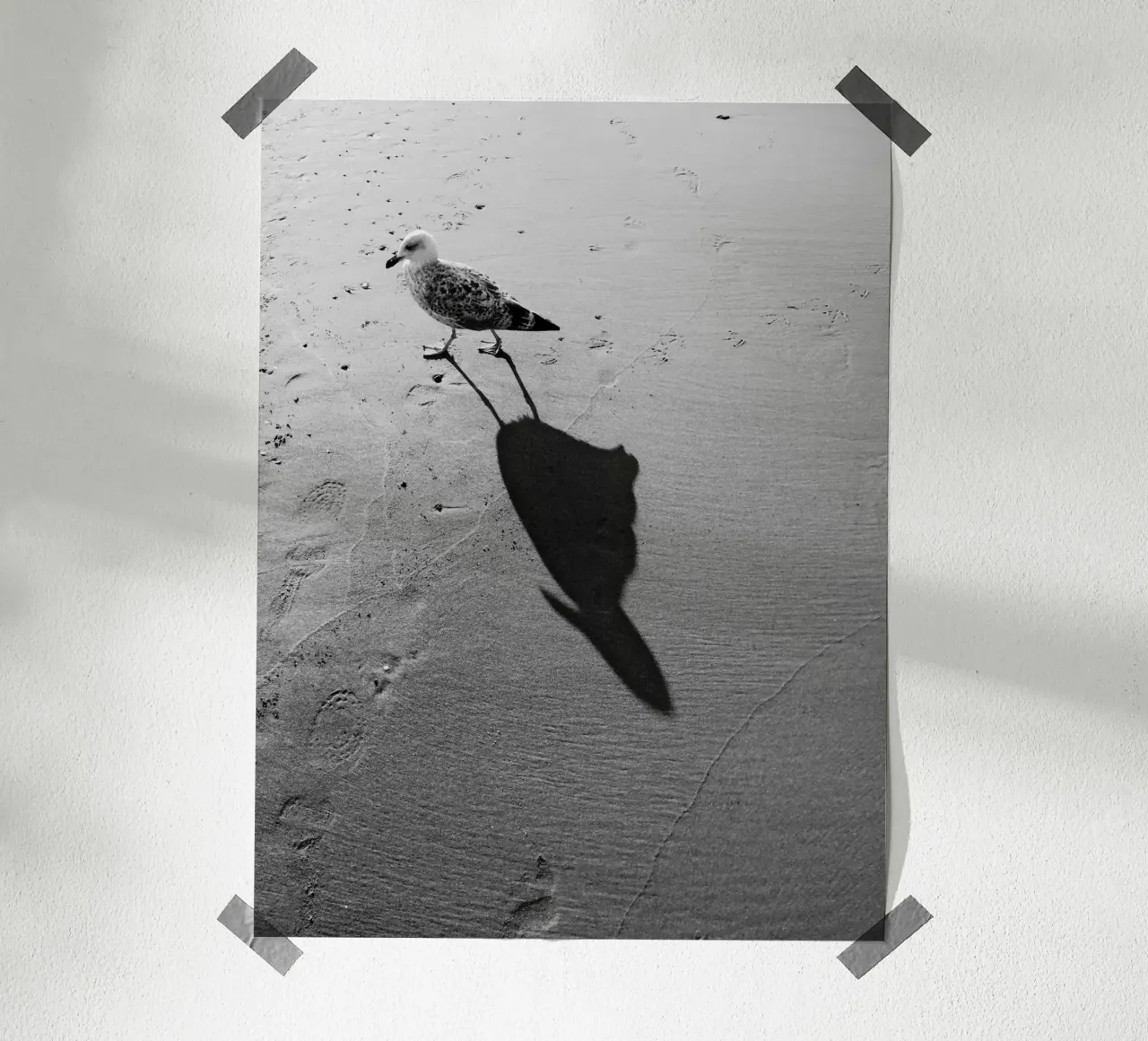 Ombra di gabbiano poster con telaio in legno da Janine Sommer Fotografie