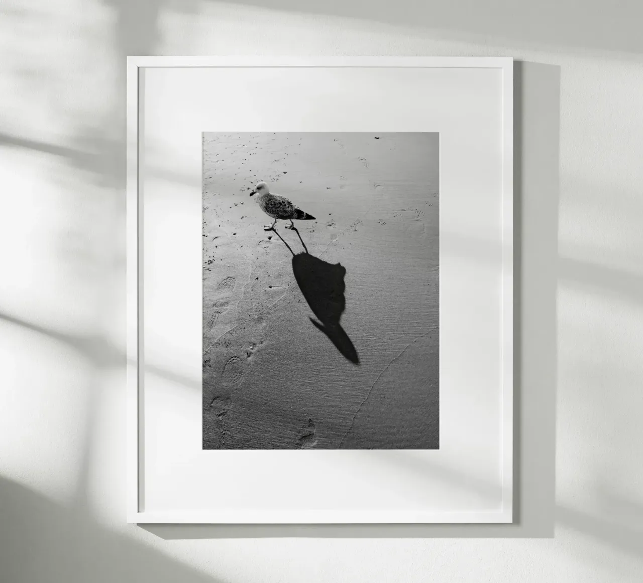 Seagull shadow poster by Janine Sommer Fotografie