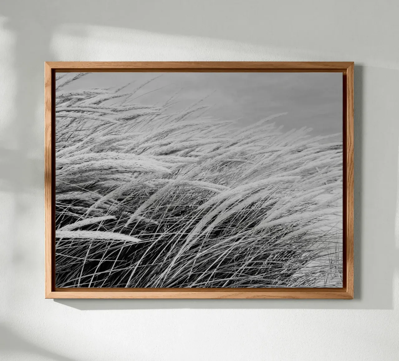 Erba delle dune I alluminio dibond da Janine Sommer Fotografie
