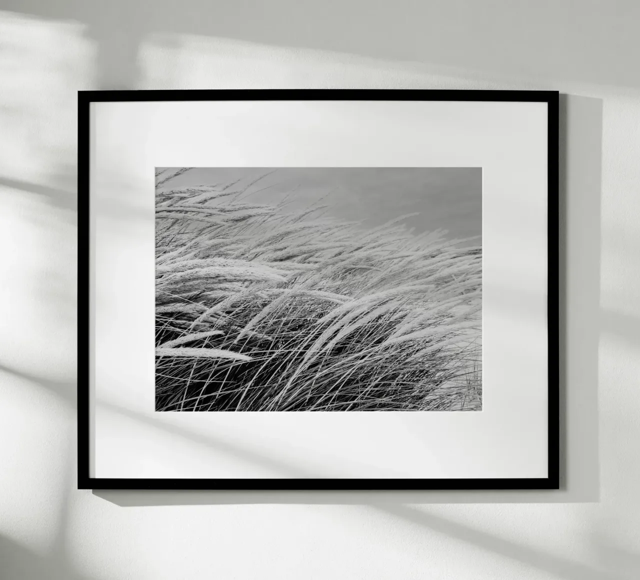 Erba delle dune I carta hahnemühle da Janine Sommer Fotografie