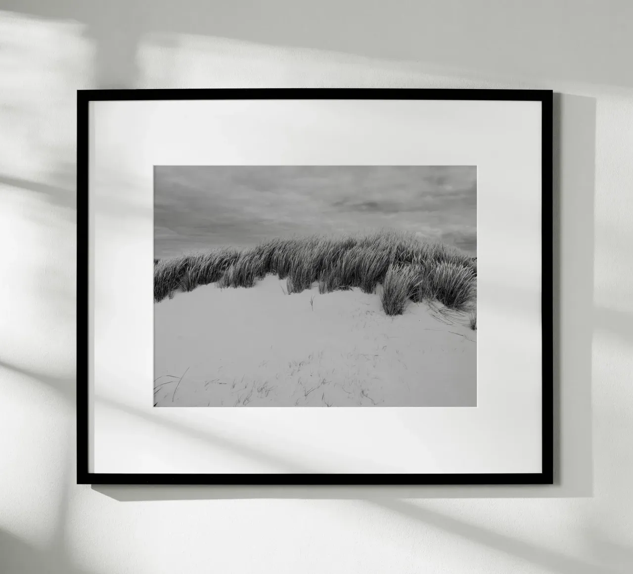 Herbe des dunes II poster de Janine Sommer Fotografie