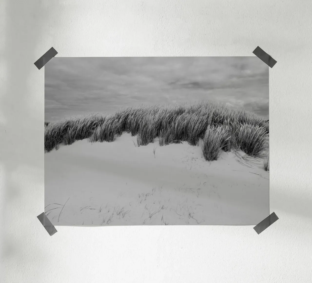 Herbe des dunes II poster de Janine Sommer Fotografie