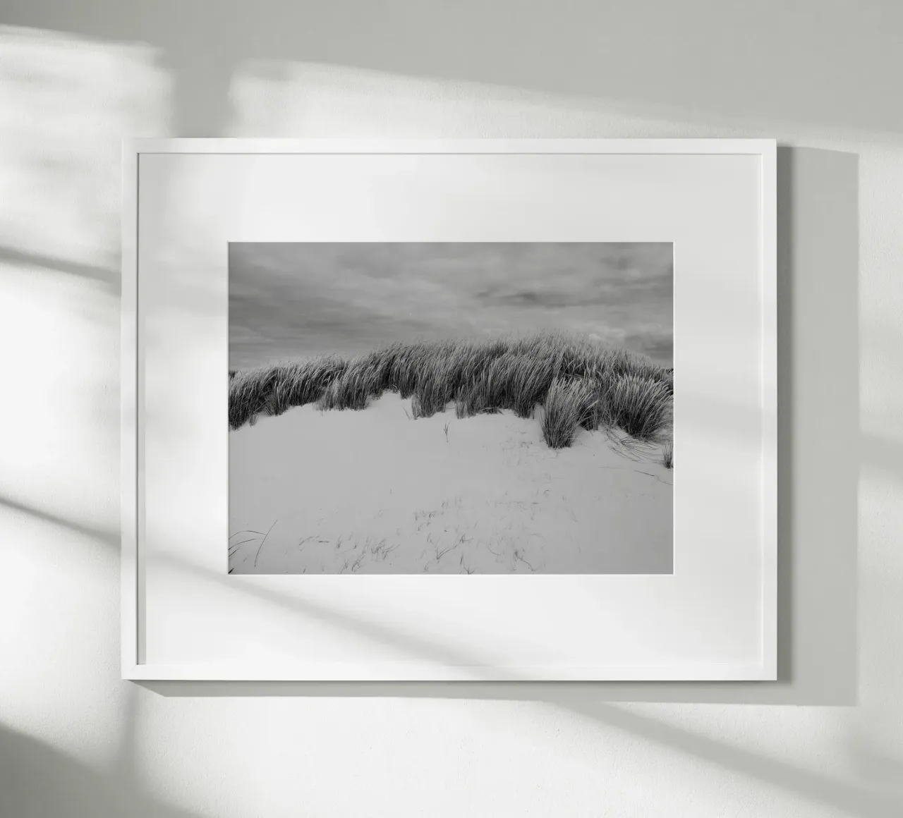 Herbe des dunes II poster de Janine Sommer Fotografie