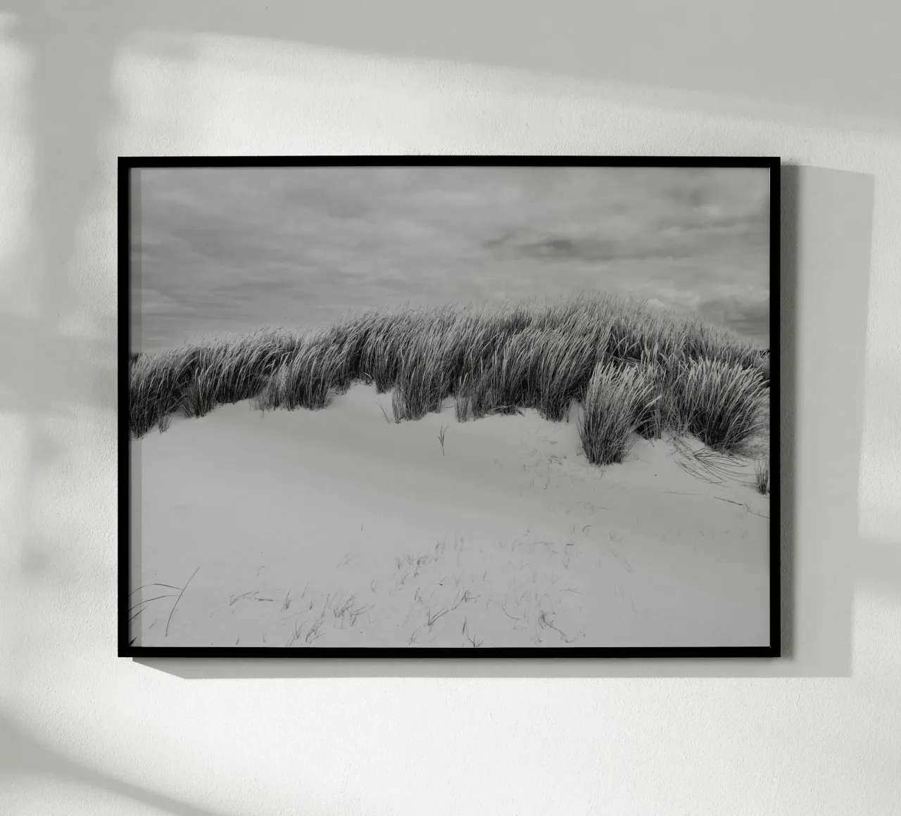 Herbe des dunes II poster de Janine Sommer Fotografie