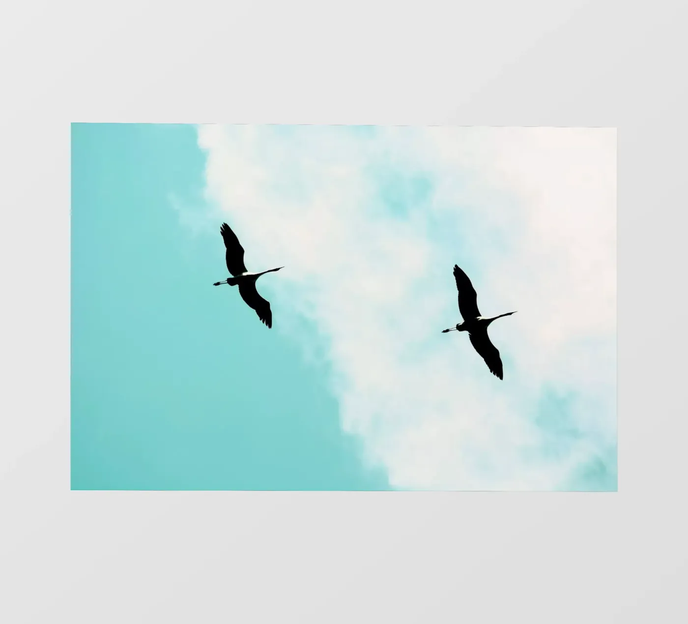 Kran(e) V Fototapete von Tal Paz-Fridman