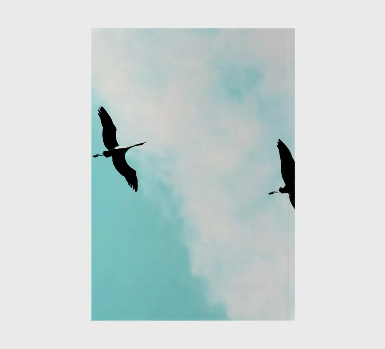 Crane(s) V notebook by Tal Paz-Fridman