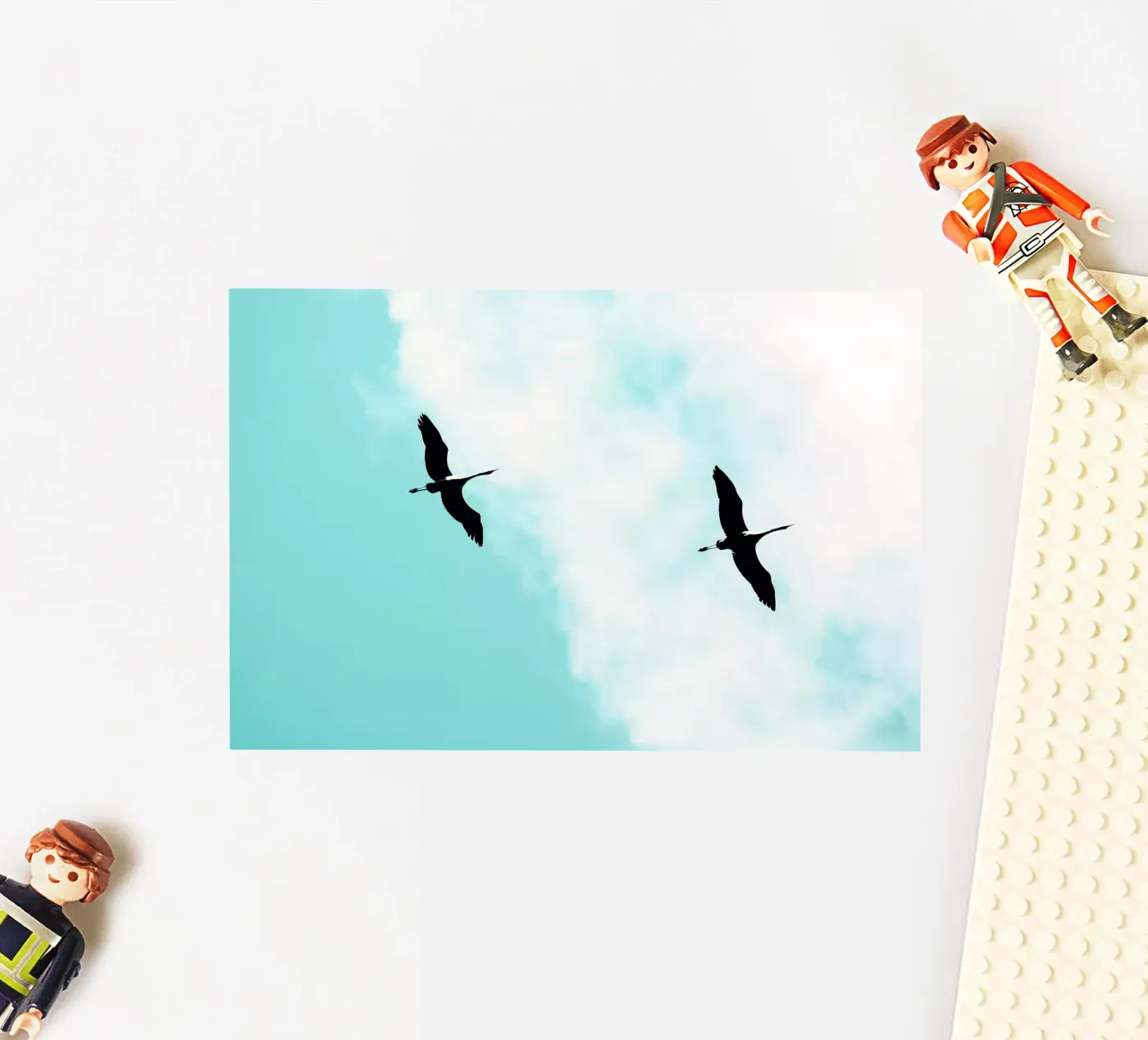 Crane(s) V autocollant de Tal Paz-Fridman