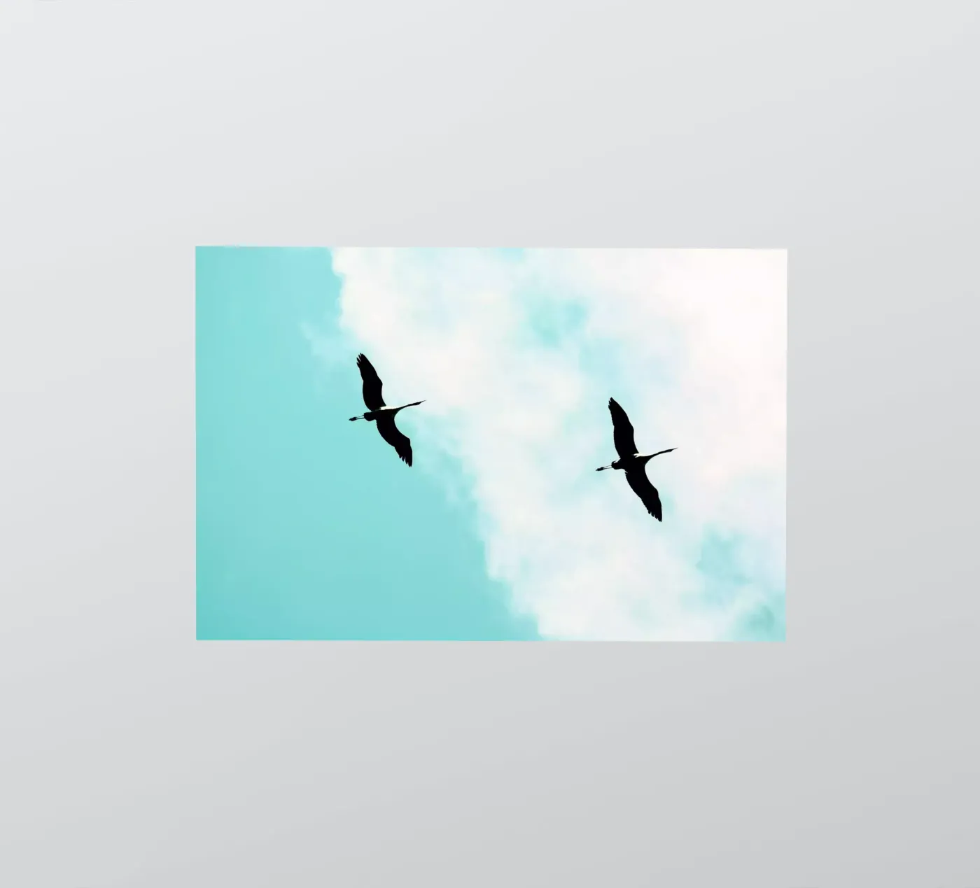 Crane(s) V autocollant de Tal Paz-Fridman