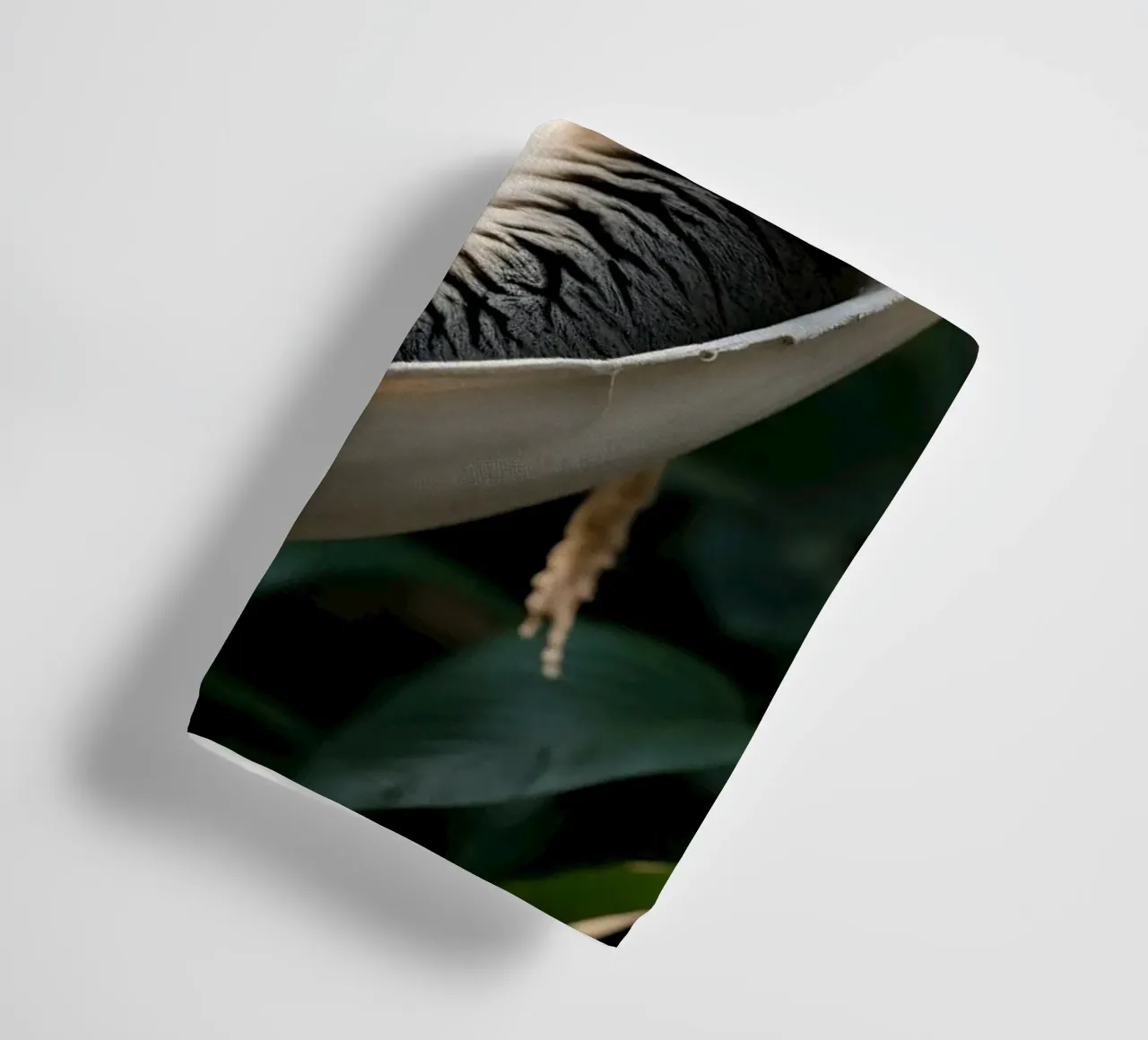 🌿🌺 Ringstaartmaki | Chillin’... with a view towel by Trinkets NL Design Studio