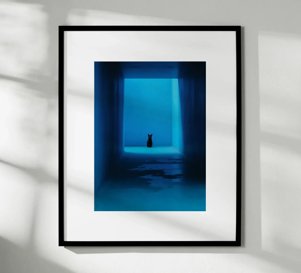 Il gatto nero nel corridoio blu poster con telaio in plastica da Plain Thoughts
