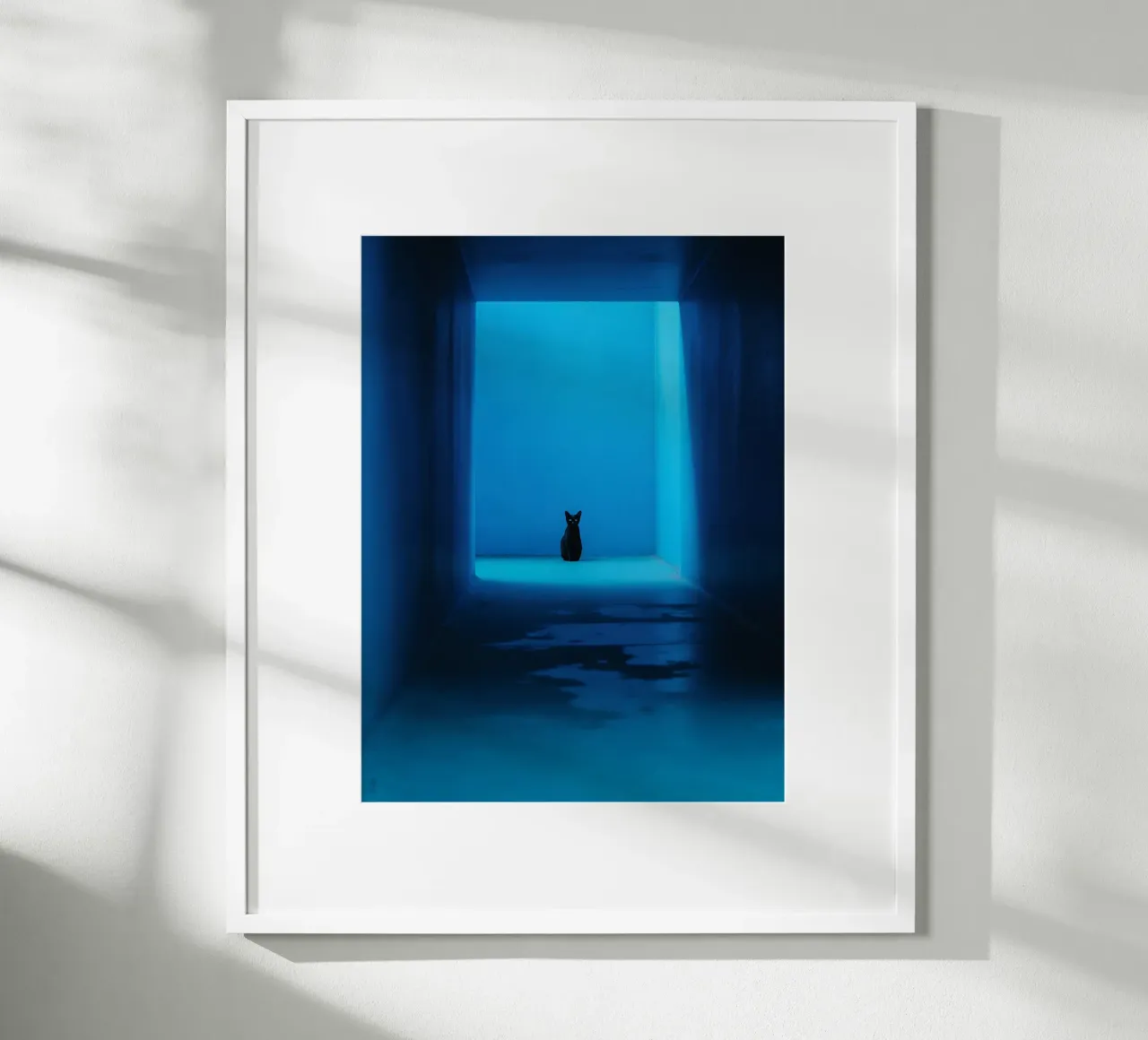 Il gatto nero nel corridoio blu poster con telaio in plastica da Plain Thoughts