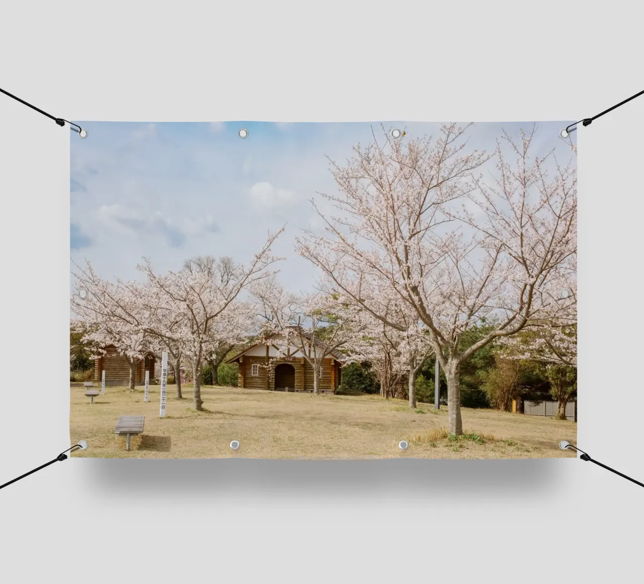 Alberi di ciliegio in fiore a Kyushu, Giappone telo in pvc da Marcel Bisig