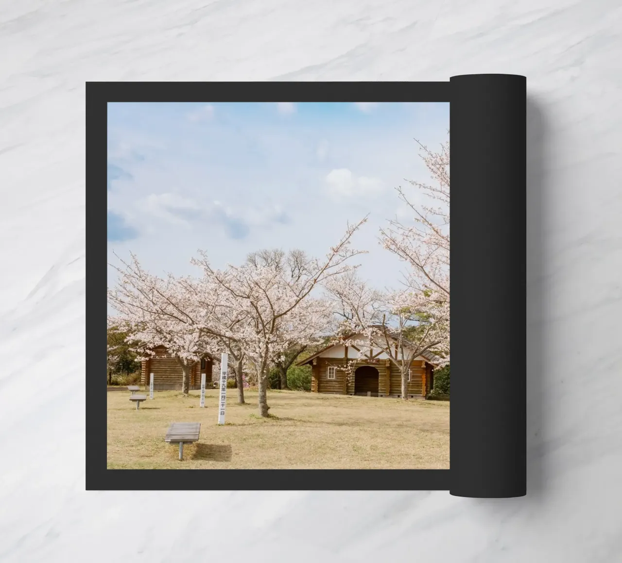 Alberi di ciliegio in fiore a Kyushu, Giappone zerbino da Marcel Bisig