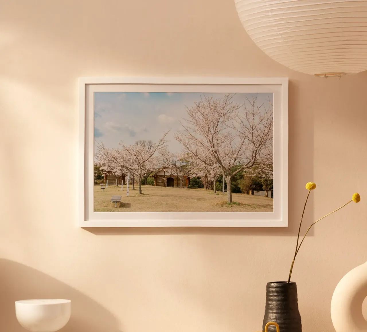 Alberi di ciliegio in fiore a Kyushu, Giappone poster con telaio in legno da Marcel Bisig