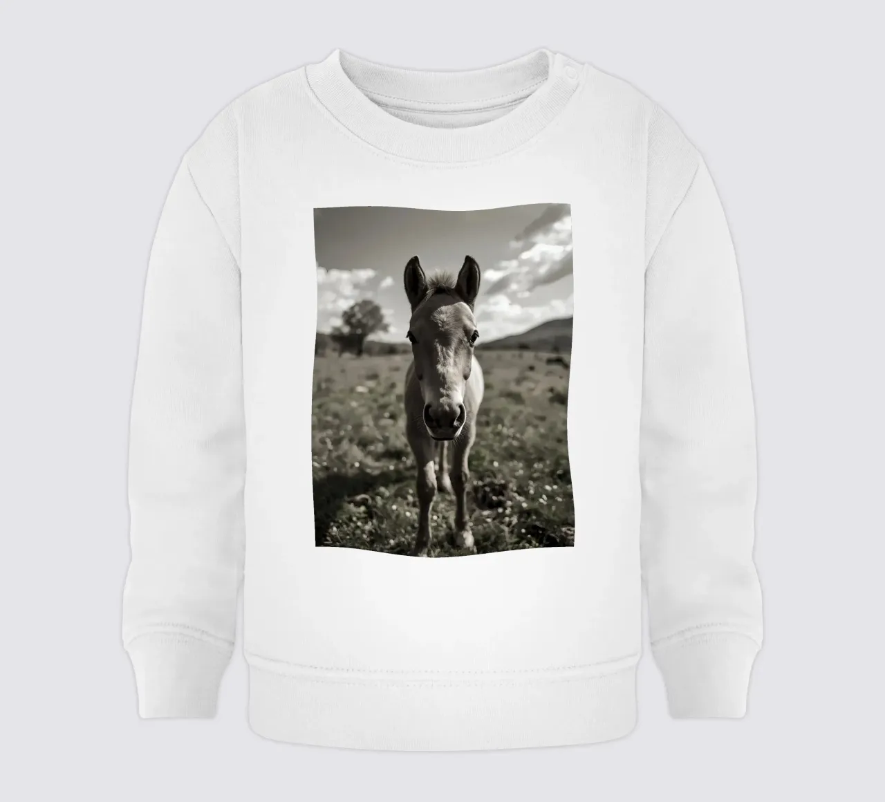 Puledro in piedi in un campo erboso in scala di grigi felpa neonato da DesignDoodle