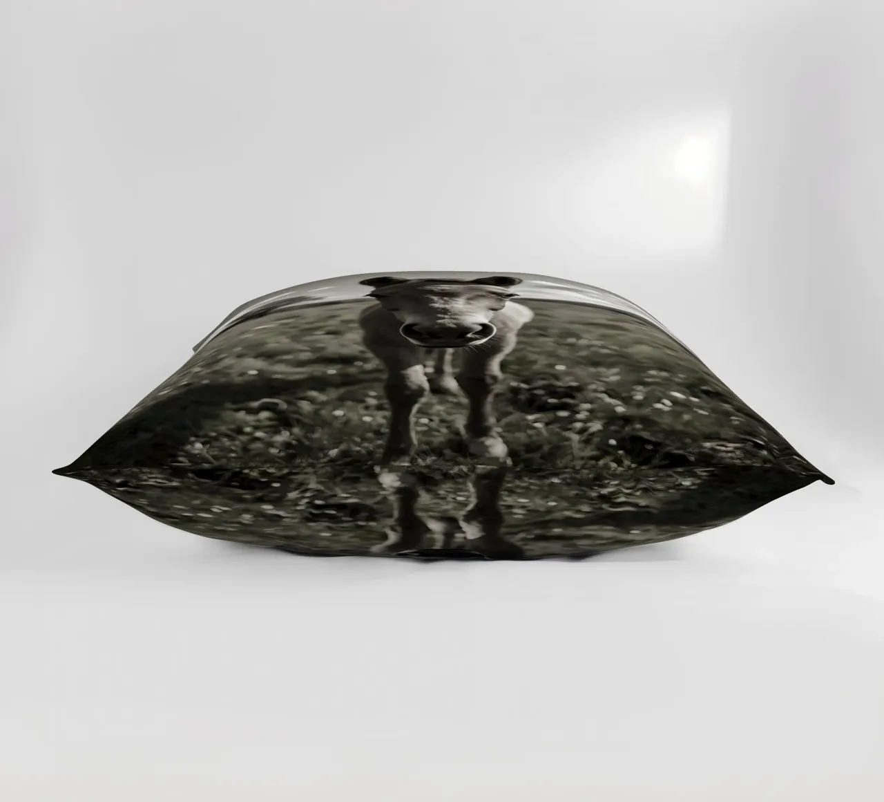 Puledro in piedi in un campo erboso in scala di grigi cuscino da DesignDoodle