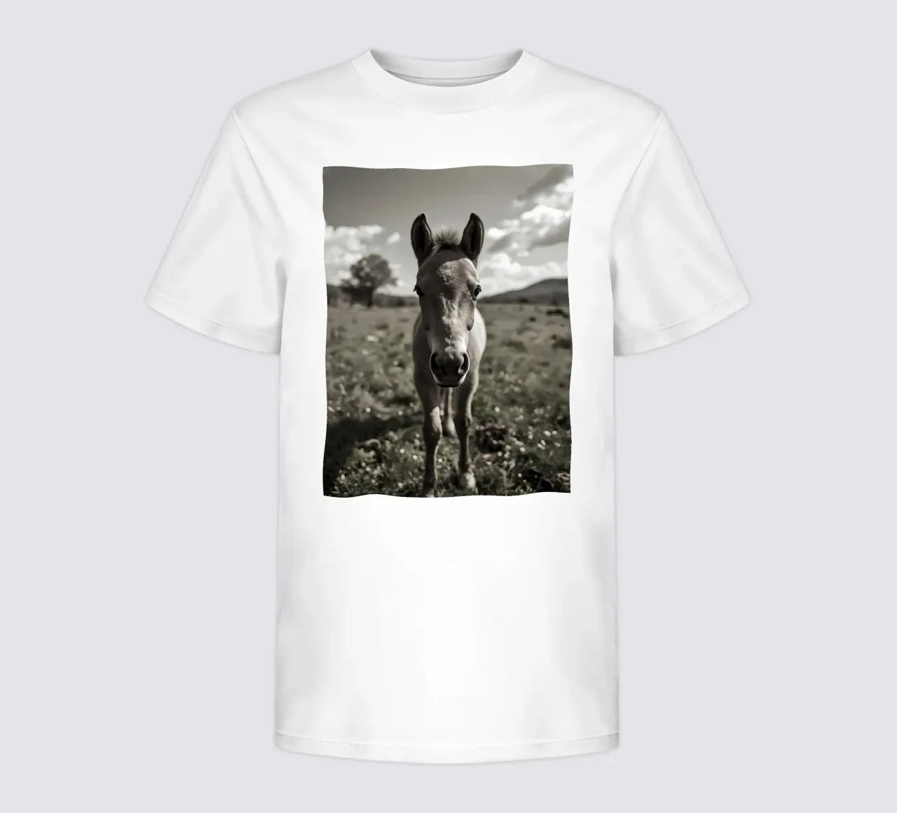 Puledro in piedi in un campo erboso in scala di grigi t-shirt bambini da DesignDoodle