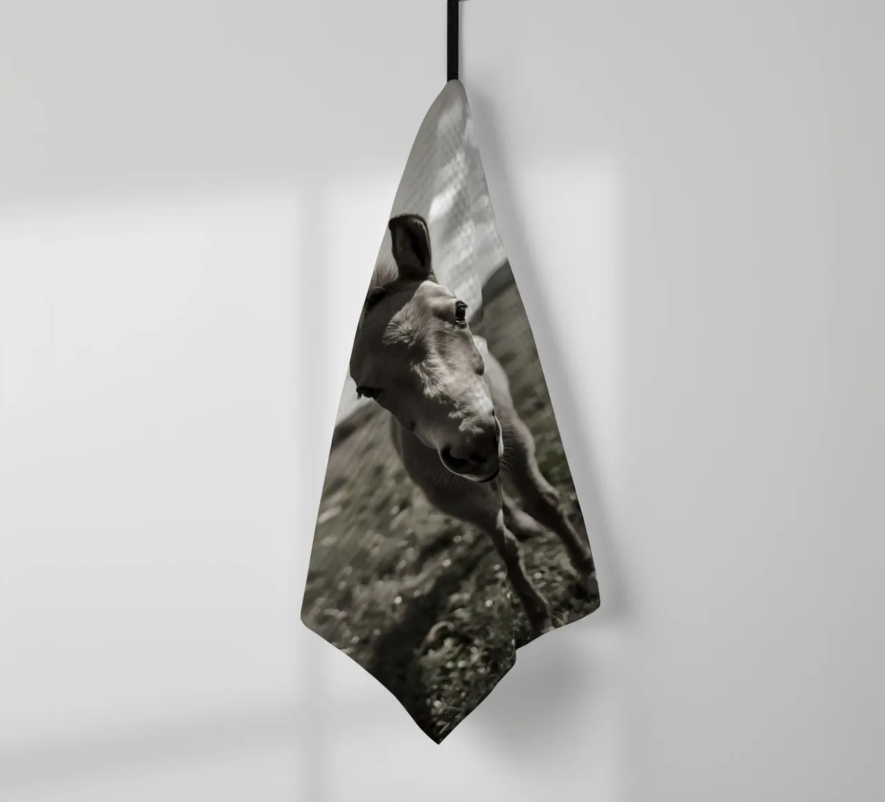 Puledro in piedi in un campo erboso in scala di grigi canovaccio da cucina da DesignDoodle