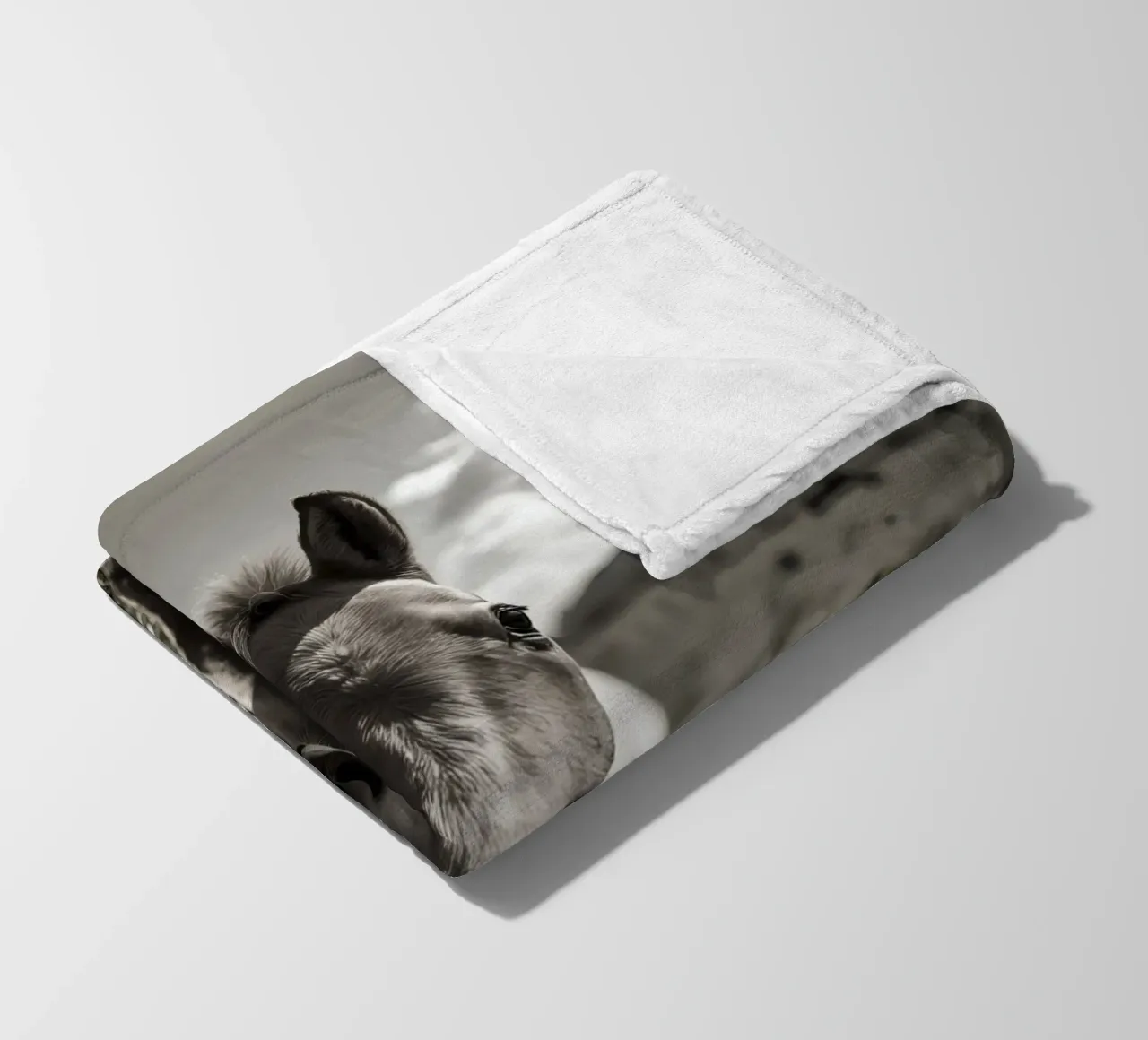 Puledro in piedi in un campo erboso in scala di grigi coperta in pile da DesignDoodle