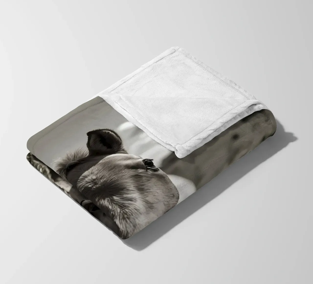 Puledro in piedi in un campo erboso in scala di grigi coperta in pile da DesignDoodle