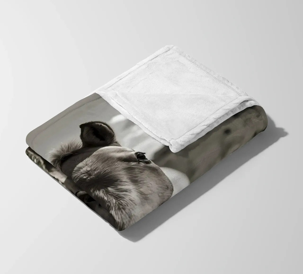 Puledro in piedi in un campo erboso in scala di grigi coperta in pile da DesignDoodle