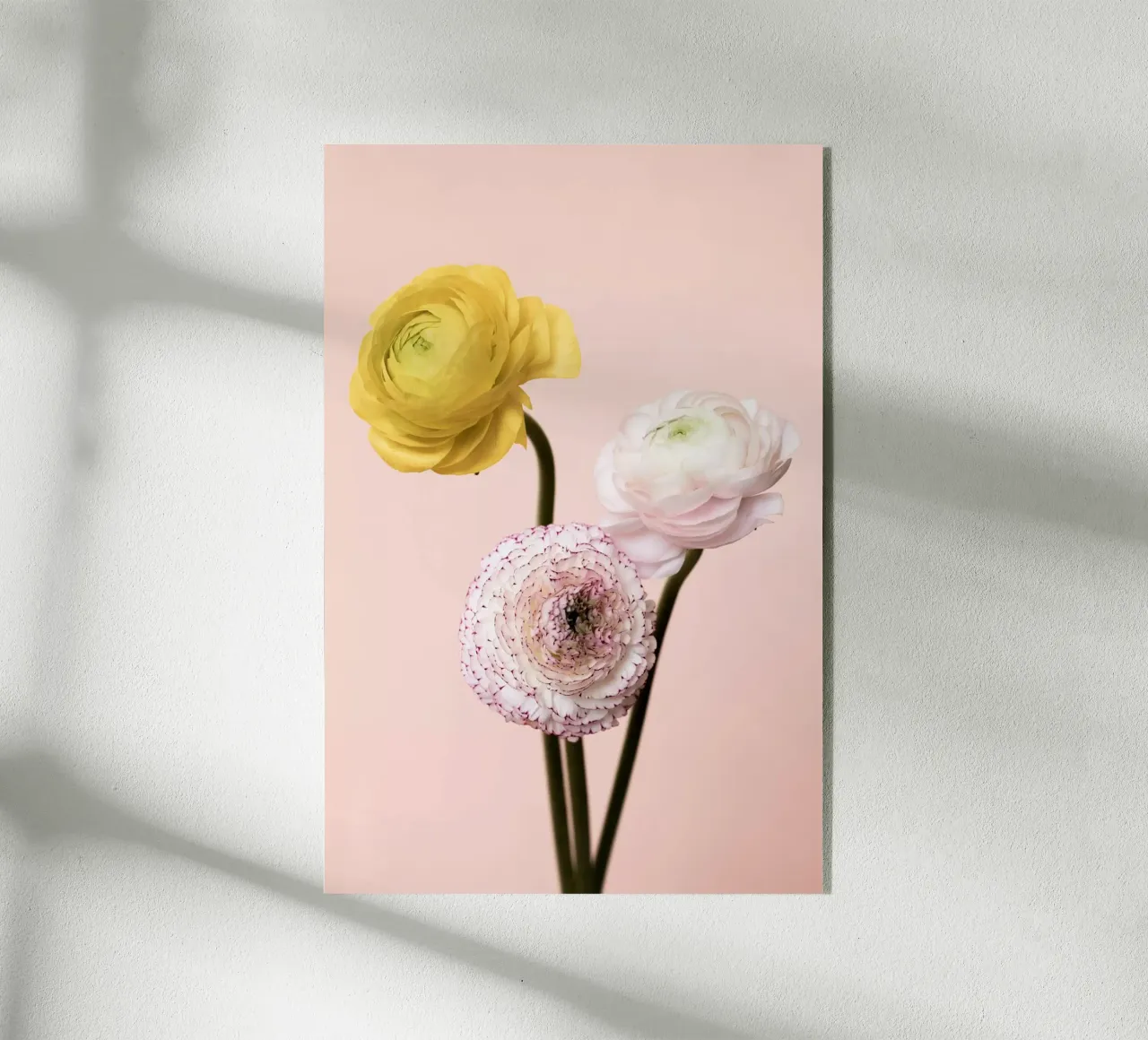 Three Flowers plexiglass da Mareike Böhmer Photography