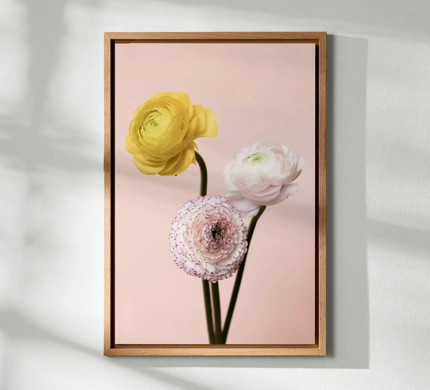 Three Flowers pannello forex da Mareike Böhmer Photography