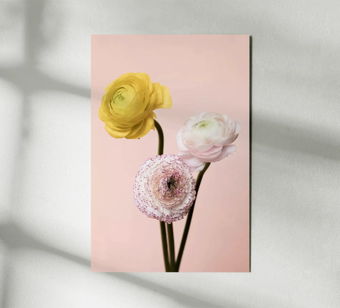 Three Flowers pannello forex da Mareike Böhmer Photography