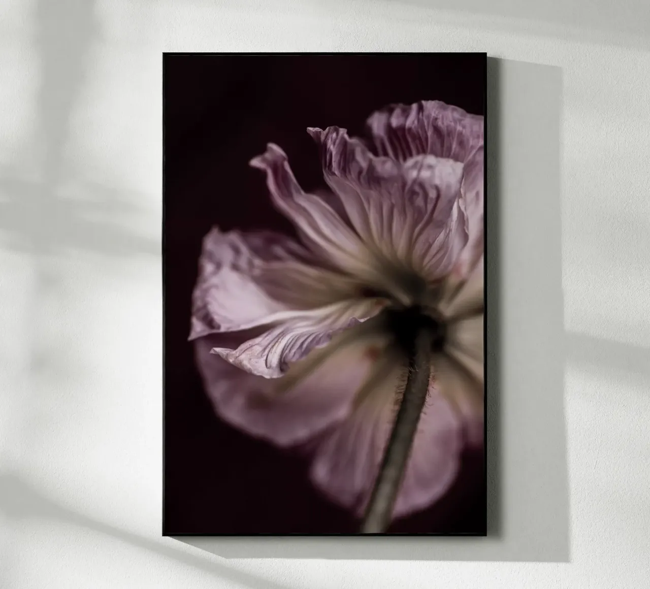 Poppies 4 plexiglass da Mareike Böhmer Photography