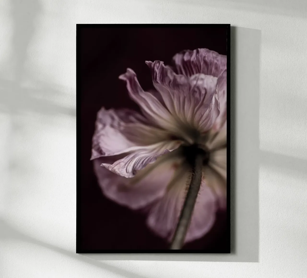 Poppies 4 carta hahnemühle da Mareike Böhmer Photography