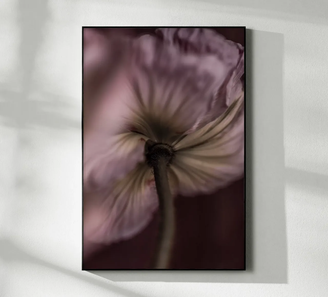 Poppies 3 plexiglass da Mareike Böhmer Photography