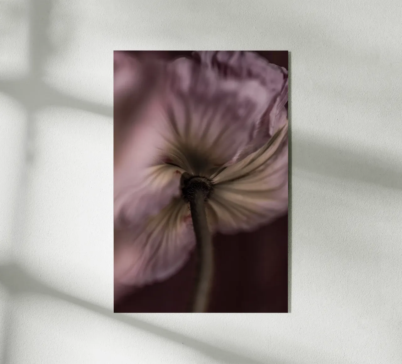 Poppies 3 plexiglass da Mareike Böhmer Photography