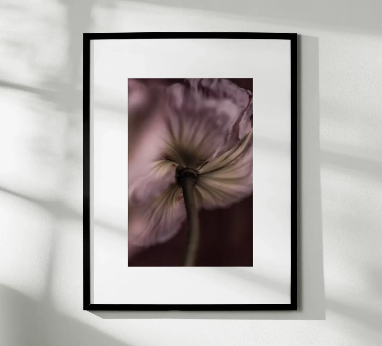 Poppies 3 poster da Mareike Böhmer Photography