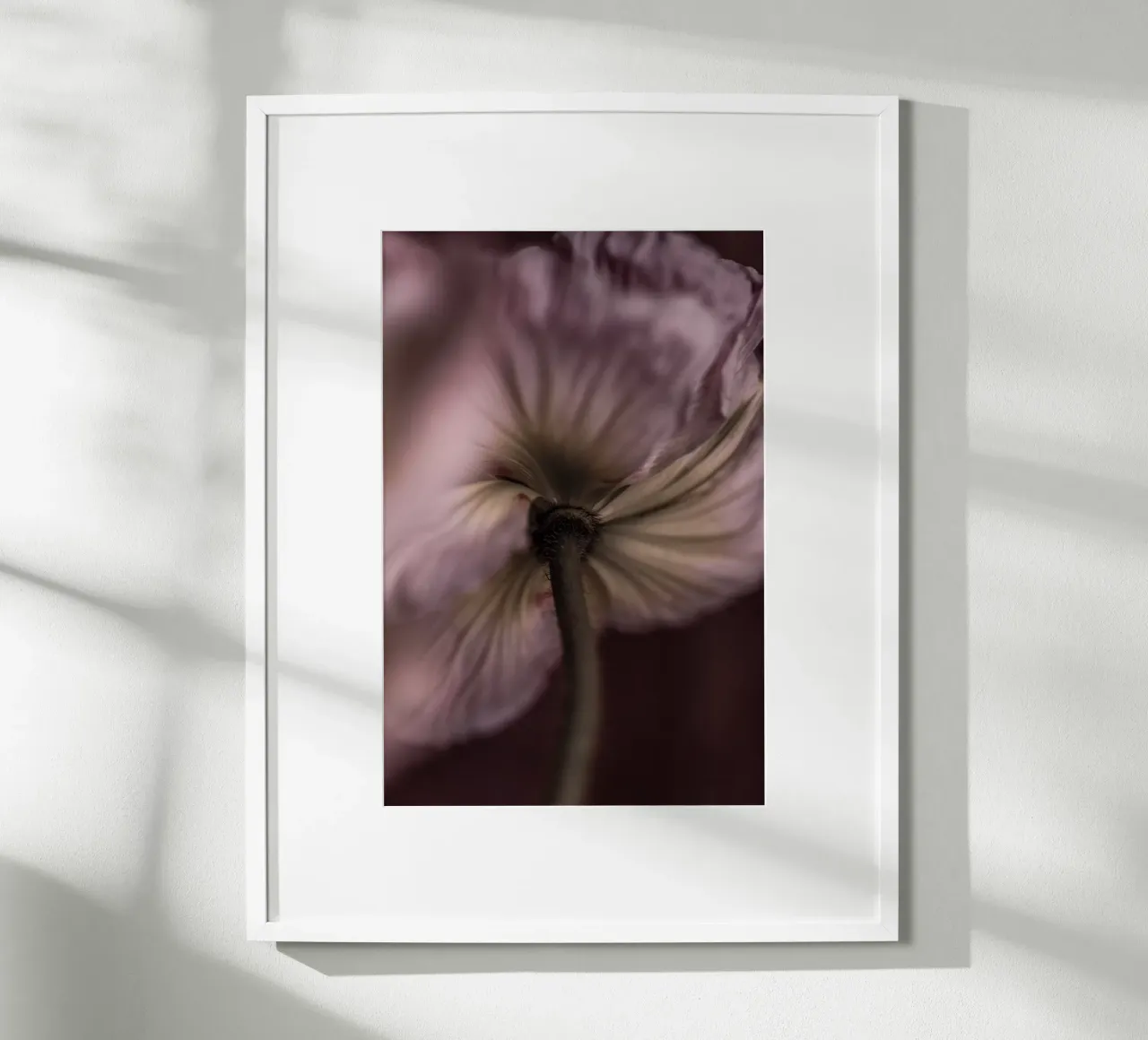 Poppies 3 poster da Mareike Böhmer Photography