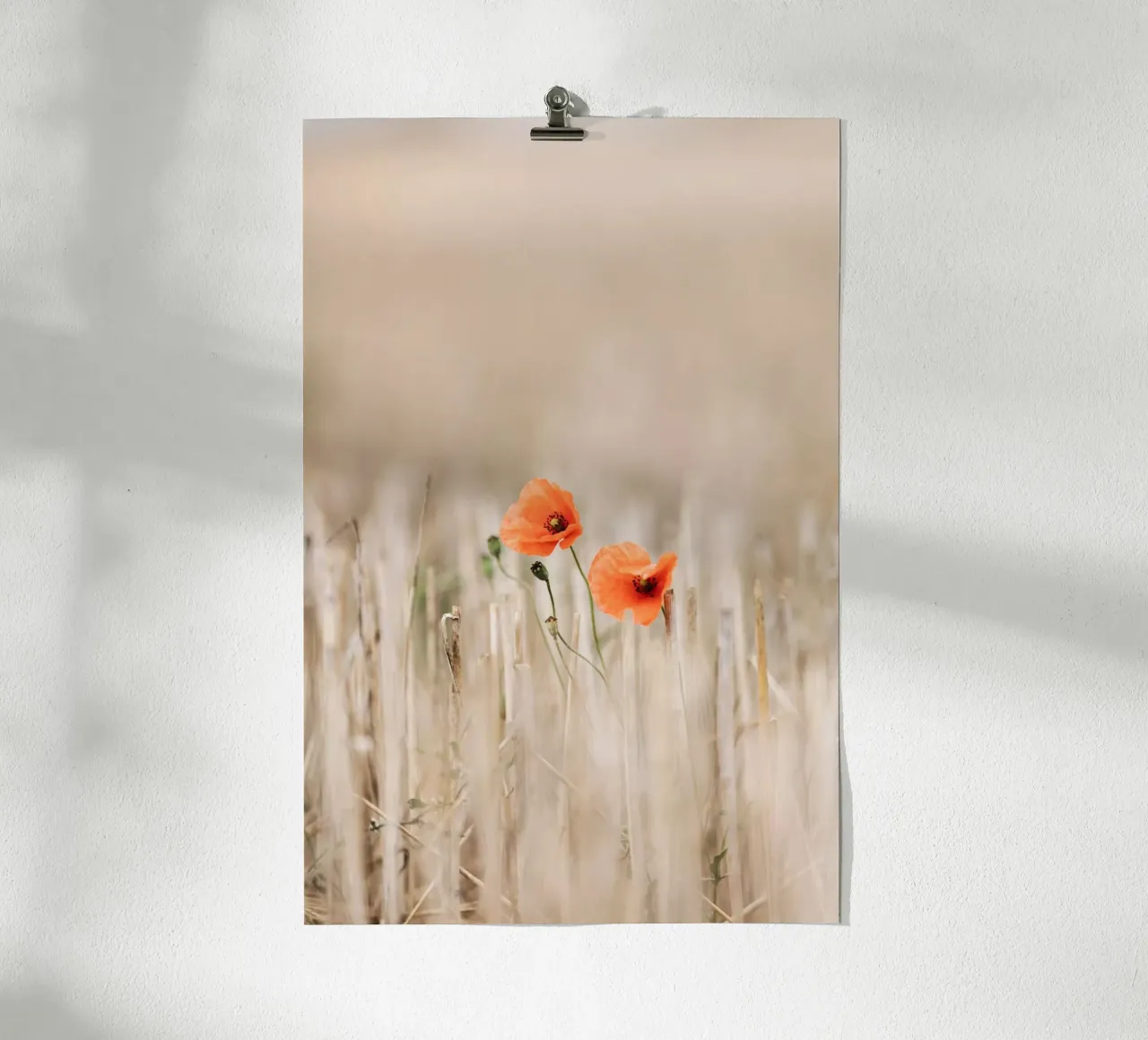 Summer Poppies poster con telaio in legno da Mareike Böhmer Photography