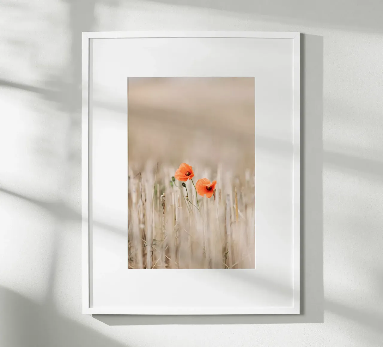Summer Poppies poster con telaio in legno da Mareike Böhmer Photography