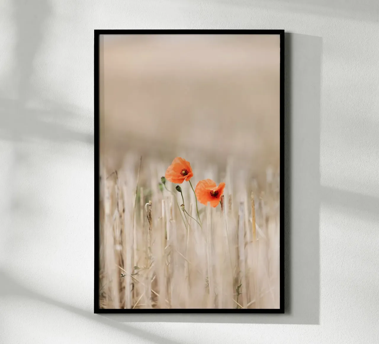 Summer Poppies poster con telaio in legno da Mareike Böhmer Photography