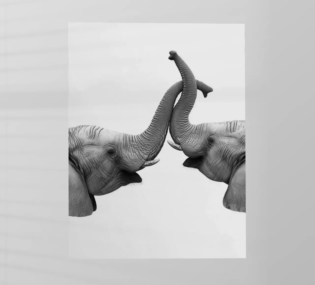 Tenero abbraccio di un elefante pellicola backlit da Carinaprint