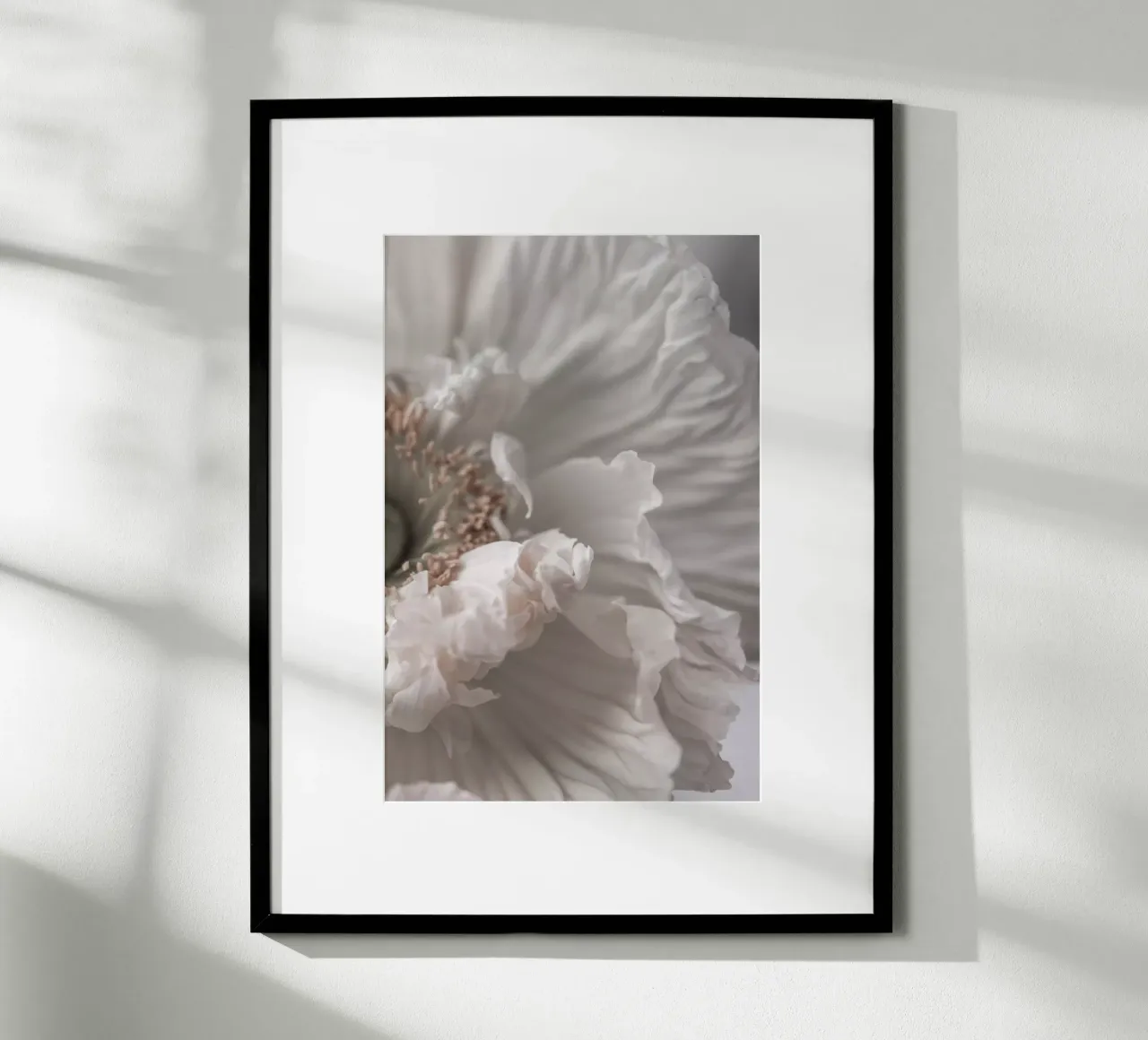 Poppy 1 Poster von Mareike Böhmer Photography