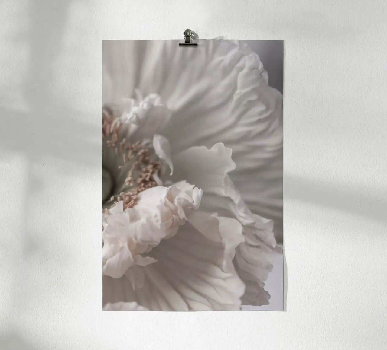 Poppy 1 Poster von Mareike Böhmer Photography