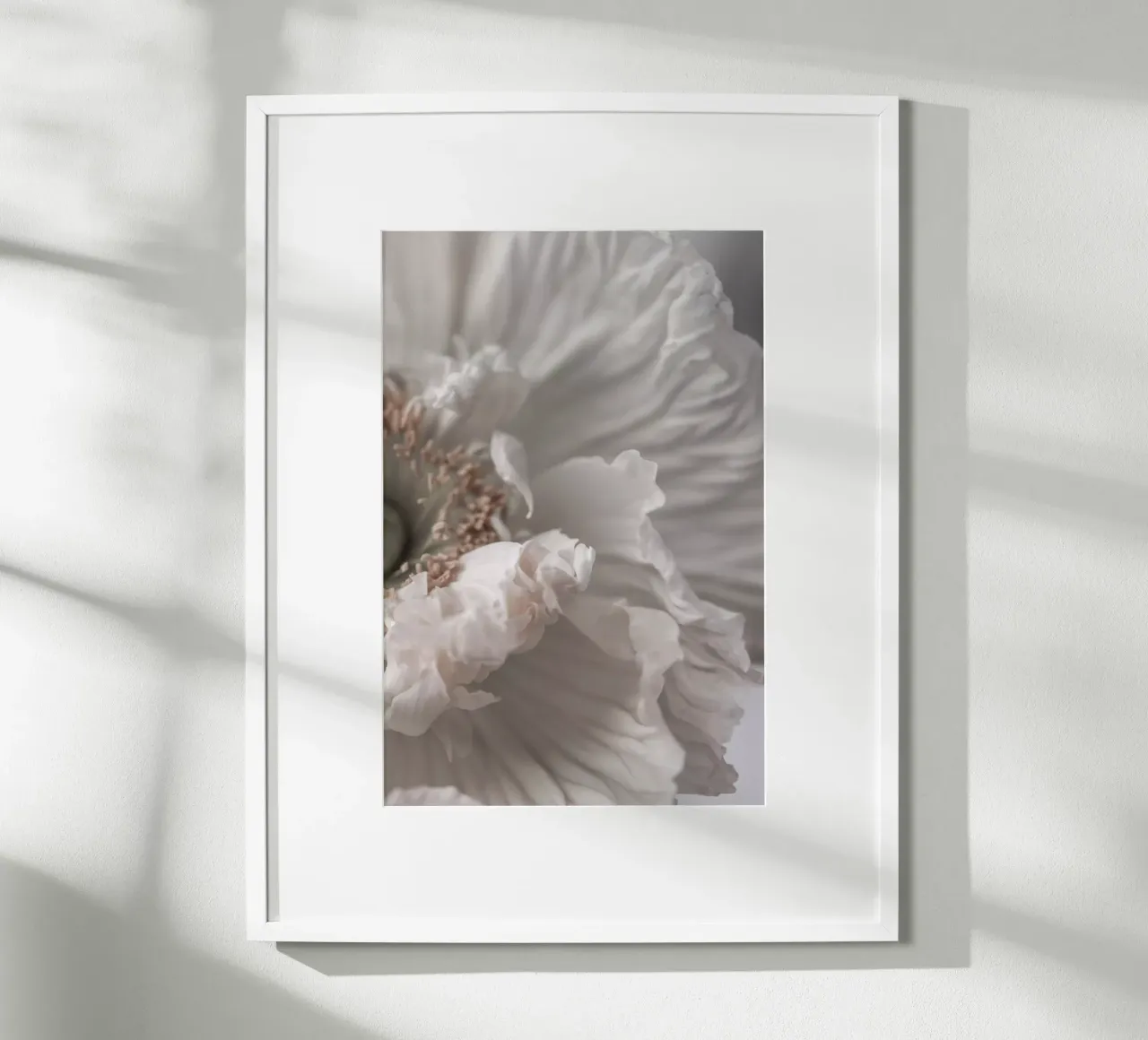 Poppy 1 Poster von Mareike Böhmer Photography